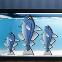 Free online html5 escape games - Find Playful Sea Buddy Finn