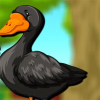 Free online html5 games - Avm Stupid Duck Escape  game 