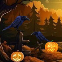 Free online html5 games - G2M Trick or Trap game 