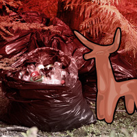 Free online html5 games - Big Polluted Forest Escape game 