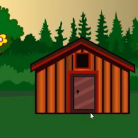 Free online html5 games - G2M Red Parrot Escape game 