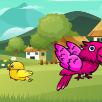 Free online html5 games - G2M Freedom Fin game 