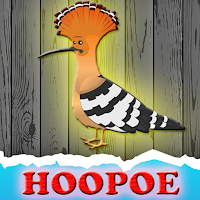 Free online html5 escape games - G2J The Hoopoe Rescue From Cage