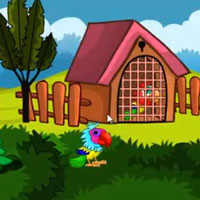 Free online html5 games - G2M Couple Parrot Escape 2 game 
