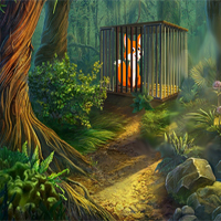 Free online html5 games - G4K Wild Fox Rescue Escape game 