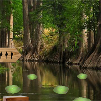 Free online html5 games - 8bGames Swamp Forest Escape game 