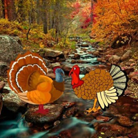 Free online html5 games - Turkey Pair Escape HTML5 game 