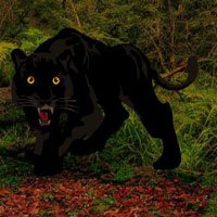 Free online html5 games - BEG Escape From Black Panther Forest game 