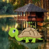 Free online html5 games - Tortoise Baby Escape HTML5 game 