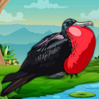 Rescue The Frigate Bird