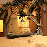 Free online html5 games - Prehistoric Museum Escape game 