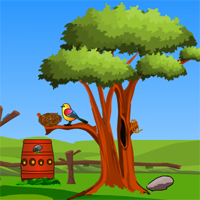 Free online html5 games - Games4Escape Pleasant Forest Escape game 