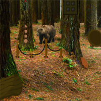 Free online html5 games - Bear Forest Escape game 