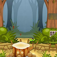 Free online html5 games - Top10 Rescue The Cat game - WowEscape 