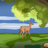 Free online html5 games -  ZooZooGames Forest Escape game 