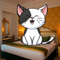 Pet White Cat Escape
