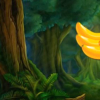 Free online html5 games - G2M Feathered Freedom game 