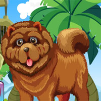 Free online html5 games - G4K Chow Chow Dog Rescue  game 
