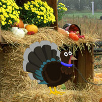 Free online html5 games - Thanksgiving Fall Forest Escape game 