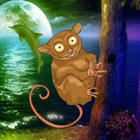 Free online html5 games - Trapped Tarsier Escape HTML5 game 