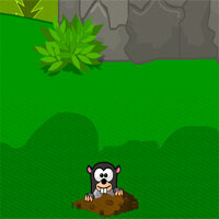 Free online html5 games - Yo Escape The Forest  game 