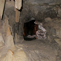 Free online html5 games - The Forgotten Cave 2 game 