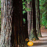 Free online html5 games - Escape From Redwood Forest HTML5  game 
