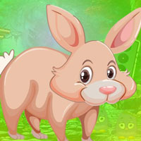 Free online html5 games - G4K Burly Rabbit Escape game 