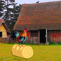 Free online html5 games - Big Village Escape game 
