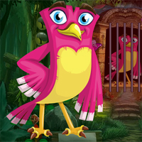 Free online html5 games - Games4King Rosy Bird Rescue game 
