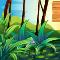Free online html5 games - Zoo Power Find Escape game 