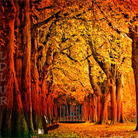 Free online html5 games - Amreli Forest Escape game 