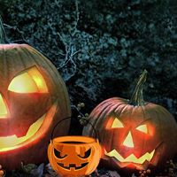 Free online html5 games - Find The Halloween Cat HTML5 game 