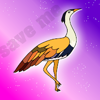 Free online html5 games - FG The Great Indian Bustard Escape game 