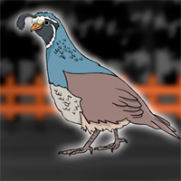Free online html5 escape games - G2J Save the Quail from Cage