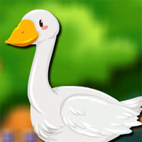 Free online html5 games - Avm Pekin Duck Escape game 