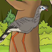 Free online html5 games - G2J Seriema Bird Escape game 