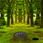 Free online html5 games - Forest Bugs Escape game 
