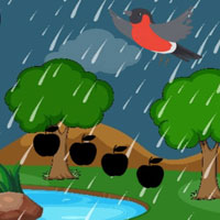 Free online html5 escape games - G2M Rainy Bison Rescue