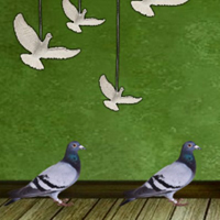 Free online html5 games - 8b Pigeon Escape 2  game 