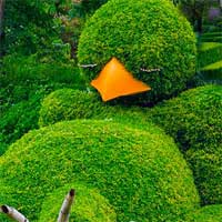 Free online html5 games - Green Garden Escape MirchiGames game 