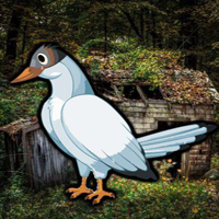 Free online html5 games - Trapped White Crow Escape game 