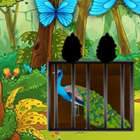 Free online html5 games - G2M Captive Plumage Html5 game 