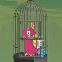 Free online html5 games - Rescue Red Macaw Bird KnfGame game 