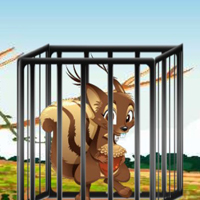 Free online html5 escape games - G2M Nutty Trap Escape
