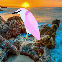 Free online html5 games - Woodpecker Escape From Island HTML5 game 