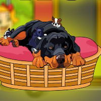 Rescue The Rottweiler Puppy