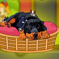 Free online html5 games - Rescue The Rottweiler Puppy game - WowEscape 