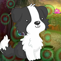 Free online html5 games - Games4king Black And White Puppy Escape game 