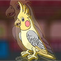 Free online html5 games - FG Cockatiel Bird Escape game 